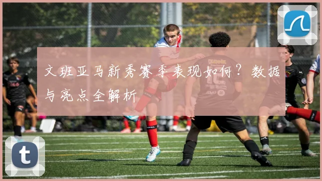 文班亚马新秀赛季表现如何?数据与亮点全解析